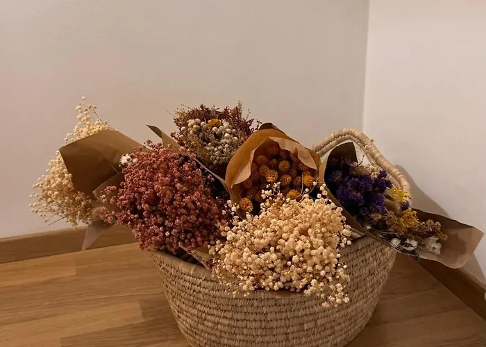 Laus Via Niccolo Putignani Cozy דירה